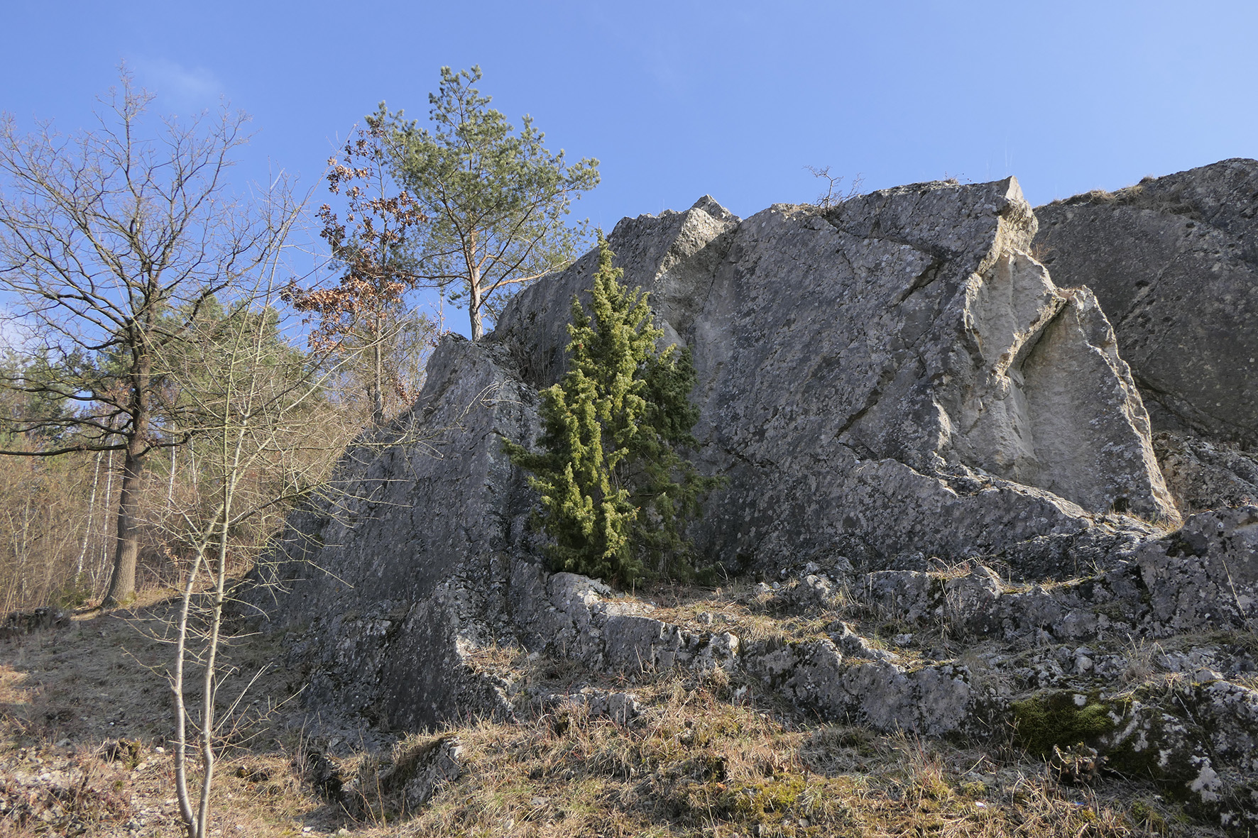 Naturdenkmale Entdecken | Landkreis-waldeck-frankenberg