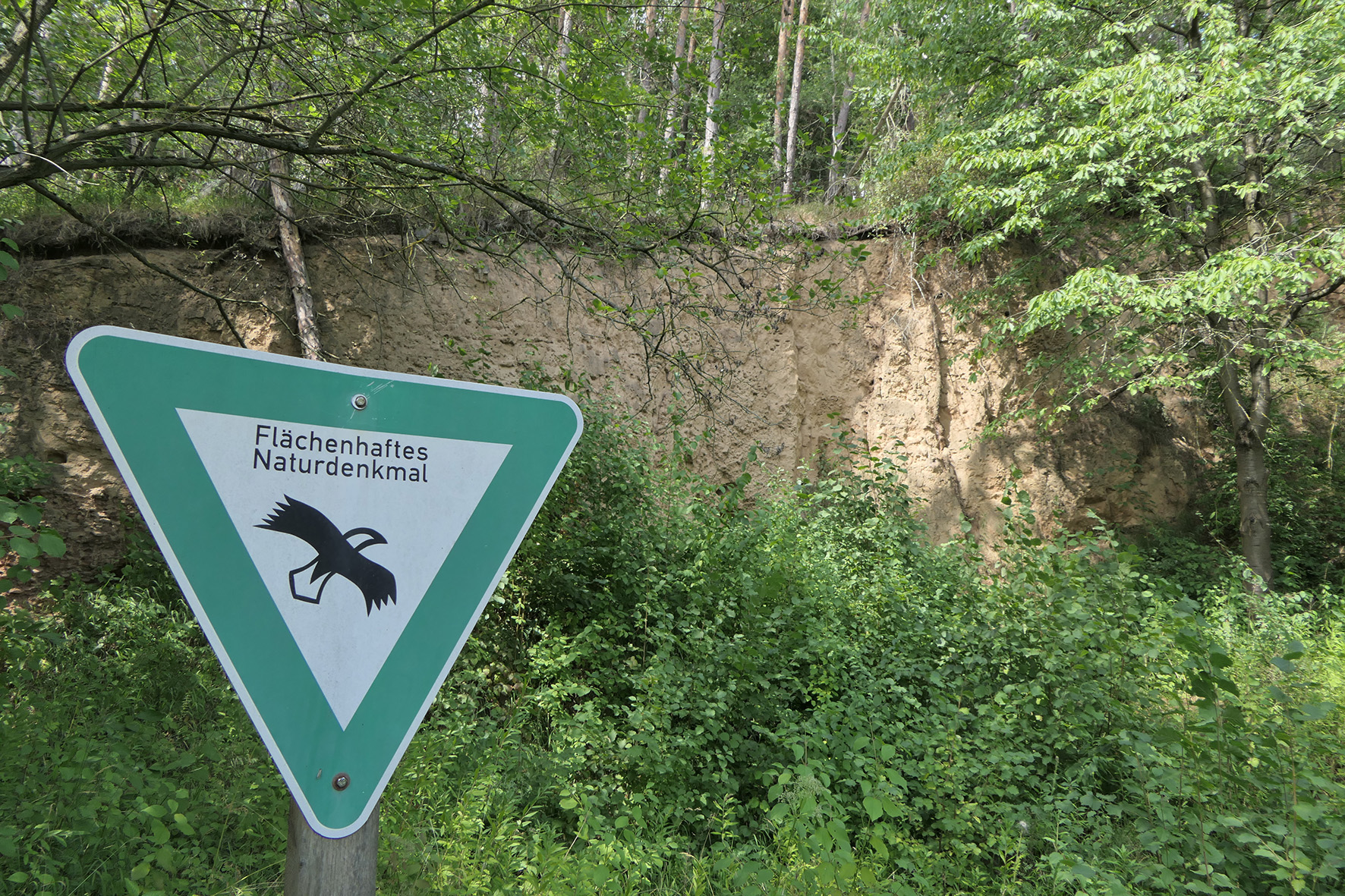 Naturdenkmale Entdecken | Landkreis-waldeck-frankenberg